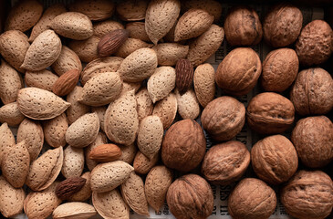 Nut background panorama. Walnuts and almonds background. 