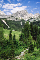 Scenic view of Alps in Austria in green summer landscape