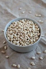 Raw Organic Dry White Beans in a Gray Bowl, side view.