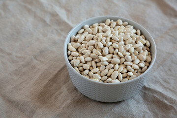 Raw Organic Dry White Beans in a Gray Bowl, side view. Space for text.