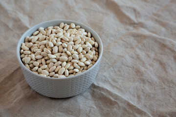 Raw Organic Dry White Beans in a Gray Bowl, side view. Copy space.