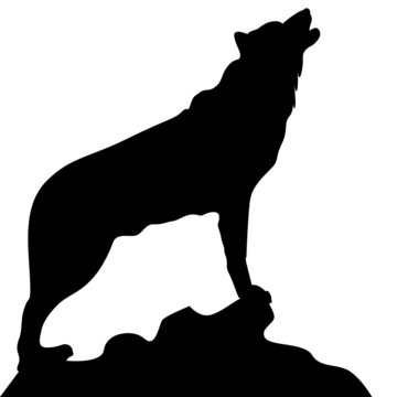 Silueta de lobo aullando encima de una roca