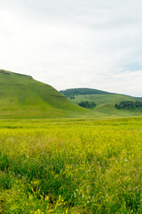 Green hills among the blooming steppe.