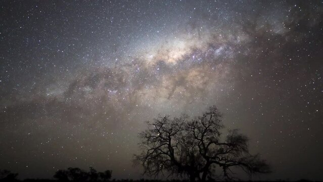 Starry night sky time lapse