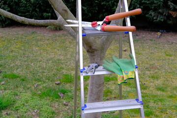Set of professional gardening tools for trimming and topiary art on a ladder. Hedge clippers topiary shears and rubber gloves. Tools for garden care. Garden maintenance and hobby.
