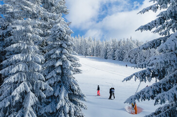 A frosty and sunny day is in mountains. Kopaonik National Park, winter landscape in the mountains,...