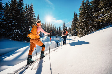 Mountaineer backcountry ski walking ski alpinist in the mountains. Ski touring in alpine landscape with snowy trees. Adventure winter sport. - obrazy, fototapety, plakaty