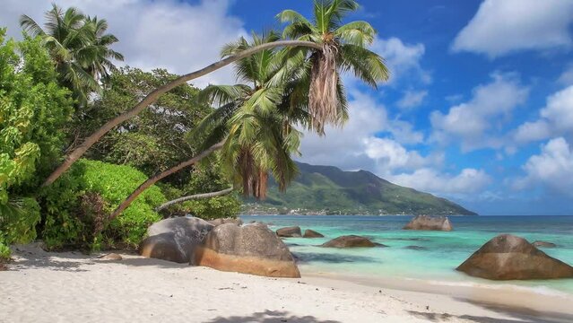 Palm beach landscape. Beautiful beach with coco palms and turquoise sea in Seychelles island. 4K stock video.