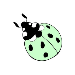 Vector light green ladybug in flat style. Cute insect, isolated. Top view. Clipart, design element on theme of nature, spring, summer
