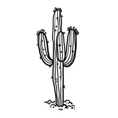 Succulent cactus desert plant hand drawn in monochrome black and white vector illustration. Botanical giant trees with thorns, needles.
