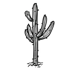Succulent cactus desert plant hand drawn in monochrome black and white vector illustration. Botanical giant trees with thorns, needles.