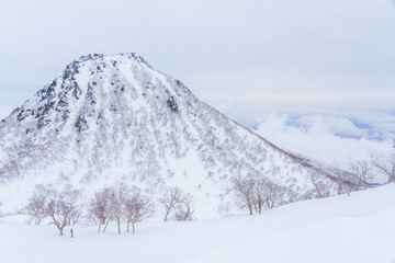 Fototapeta na wymiar 三田原山より望む厳冬の妙高山
