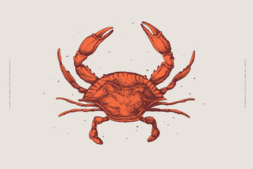 Hand-drawn red crab on a light background. Retro picture for the menu of fish restaurants, markets, and shops. Vector illustration in vintage engraving style. - obrazy, fototapety, plakaty