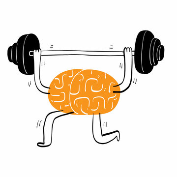 Conceptual the brain lifting a barbell for exercise,