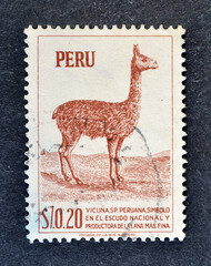 Cancelled postage stamp printed by Peru, that shows Vicuña Peruana, circa 1960.