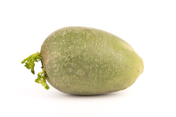 Green radish Latin name R phanus on a white background.