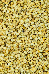 sesame seeds in a closeup