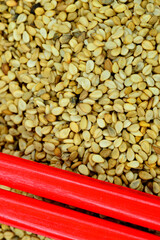 sesame seeds in a closeup