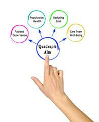 Quadruple Aim in healthb care
