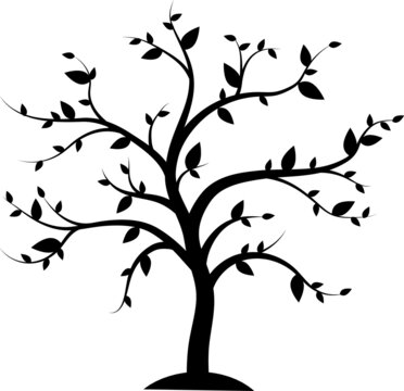 Family Tree Illustrations Family Tree SVG EPS PNG