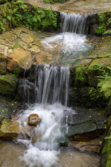 Fototapeta na wymiar natürlicher Bachlauf mit Wasserfall