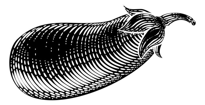 Eggplant Aubergine Vegetable Woodcut Illustration