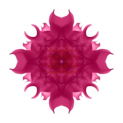 A beautiful fairy flower. A fantastic unusual flower. A unique abstract illustration. A beautiful image will decorate design projects and ideas.