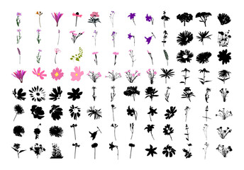 Big set of grass and flowers tracing. Wild herbs vector illustration. Floral design element for greeting card, poster, cover, invitation. Botanical retro image for a garden background.