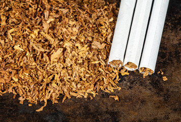 Rolled cigarettes on tobacco, smoking background with copy space