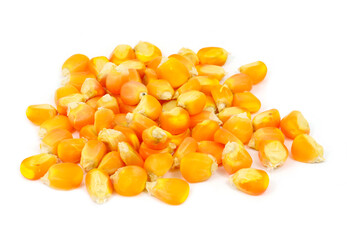 Bulk of corn grains isolated on white