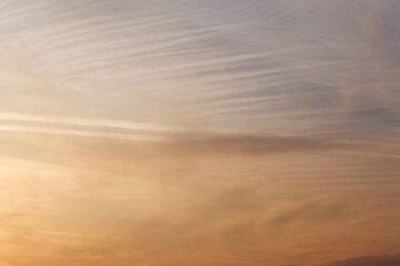 Sunset sky, clouds illuminated by the sun. Contrails and feather clouds. 