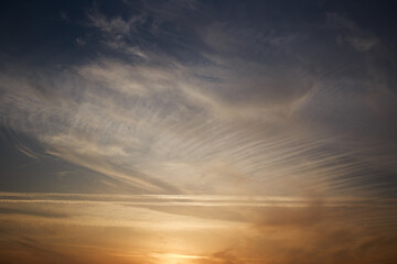 Sunset sky, clouds illuminated by the sun. Contrails and feather clouds. 