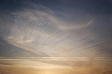 Sunset sky, clouds illuminated by the sun. Contrails and feather clouds. 
