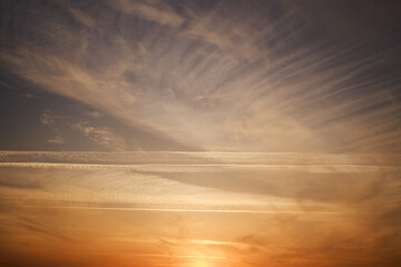 Sunset sky, clouds illuminated by the sun. Contrails and feather clouds. 