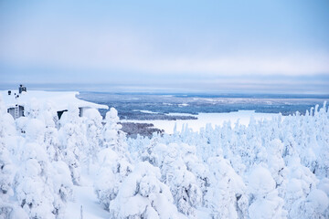 Fototapeta na wymiar Panoramic photo of the winter landscape of Lapland. Lake and snow-covered forest in the rays of sunrise.