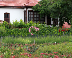Fototapeta na wymiar Green garden in front of the luxury villa