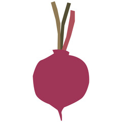 Obraz premium Beetroot vector illustration in flat color design