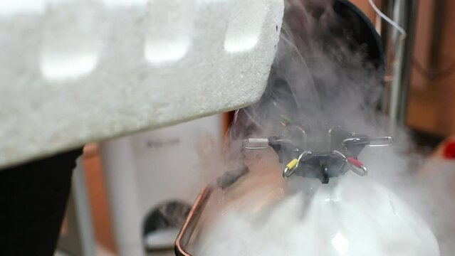 Dewar vessel with liquid nitrogen with frozen embryos and eggs in a cryobank in a modern IVF clinic. Reproductive medicine, in vitro fertilization