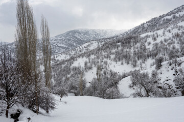 Uzuntas Village view in Bitlis Province of Turkey