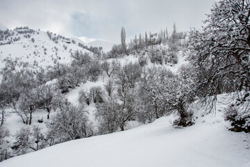 Uzuntas Village view in Bitlis Province of Turkey