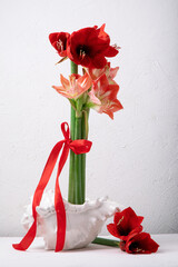 Red amaryllis in shell vase on white background