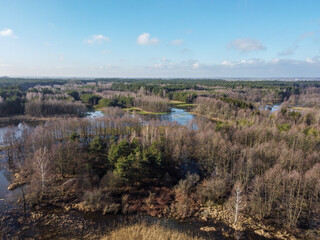 Naklejka premium The Grabia river with high water level in central Poland. 