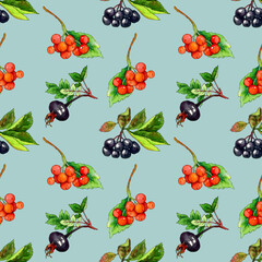 seamless watercolor pattern with red viburnum berries and black rose hips.
