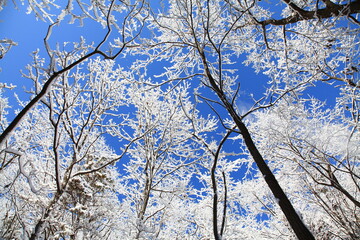 snowy mountain