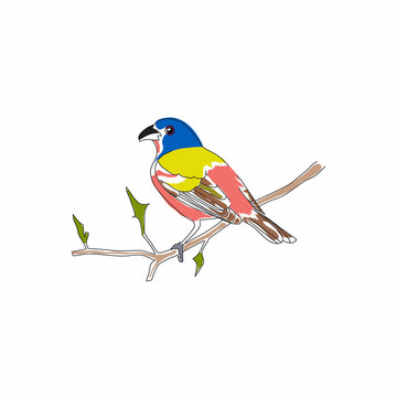recommend clip art: bird on a branch |  color full bird on a branch