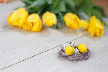 Easter 2019 background with Easter eggs in nest and yellow tulips on wooden table. Shallow dof