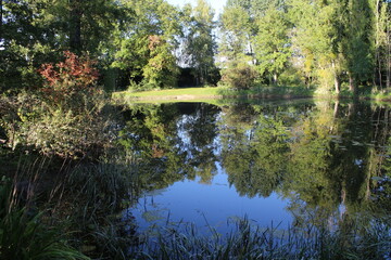 Spiegelung im Wasser des Sees. Bäume am Flussufer. Am Horizont ist der Himmel blau. Der Seespiegel...