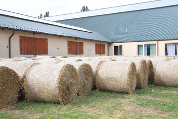 Haystacks for livestock feed for horses outdoors