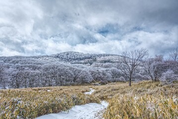 竜神平の冬景色