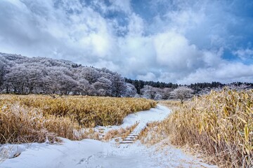 竜神平の冬景色